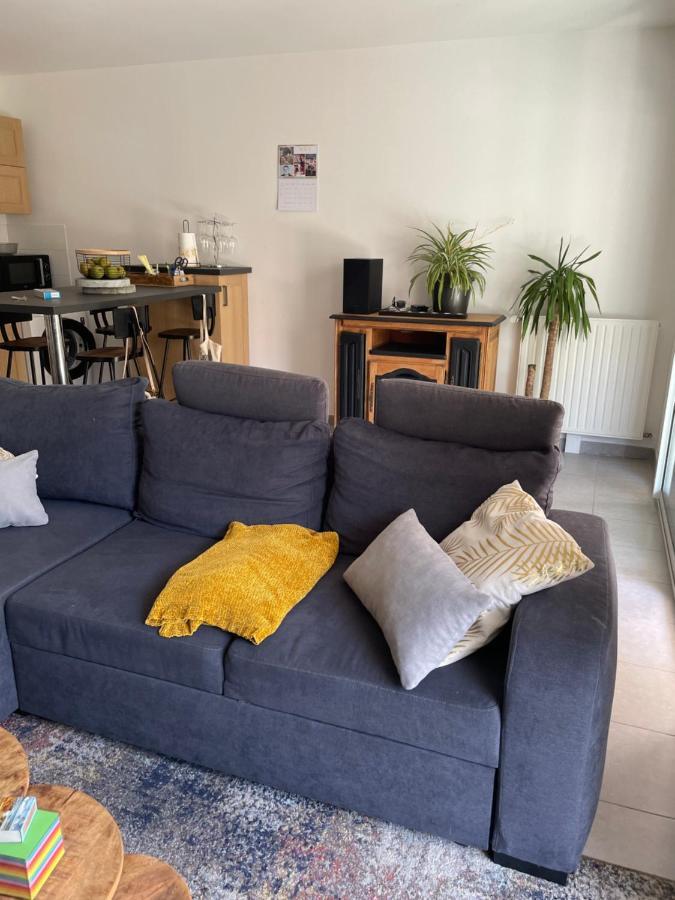 Appartement Avec Terrasse Proche De Rennes Saint-Jacques-de-la-Lande Dış mekan fotoğraf