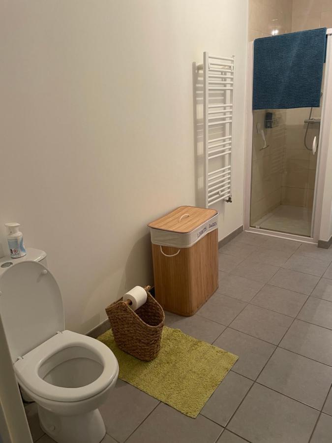 Appartement Avec Terrasse Proche De Rennes Saint-Jacques-de-la-Lande Dış mekan fotoğraf